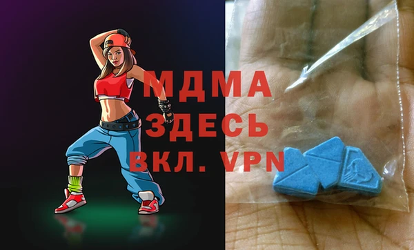 гашик Ельня