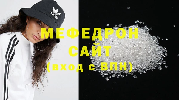 гашик Ельня