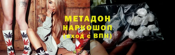 гашик Ельня