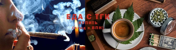 гашик Ельня