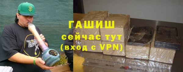 гашик Ельня