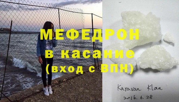 гашик Ельня