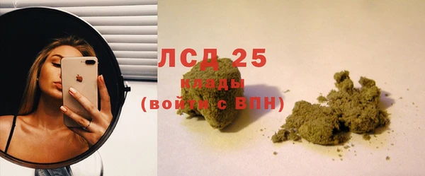 СК Елизово