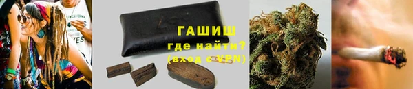 гашик Ельня