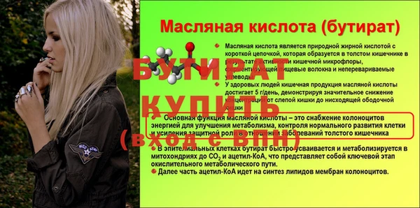 гашик Ельня