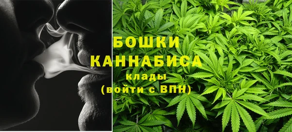 СК Елизово