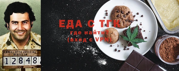 гашик Ельня