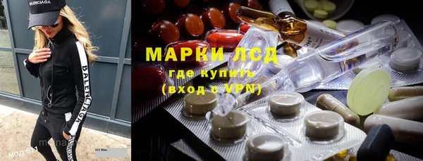 гашик Ельня