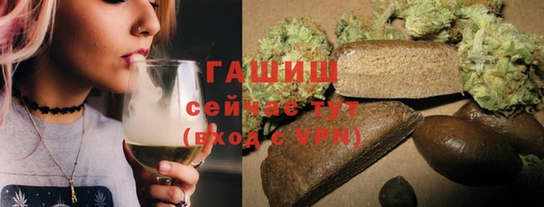 гашик Ельня