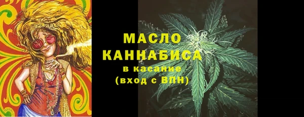 гашик Ельня