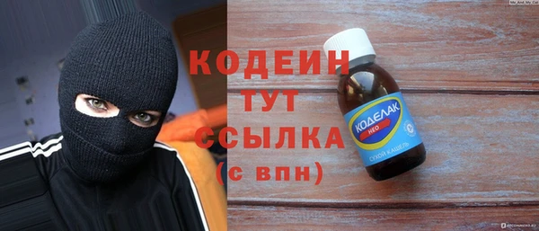 гашик Ельня