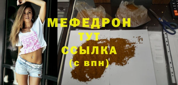 гашик Ельня