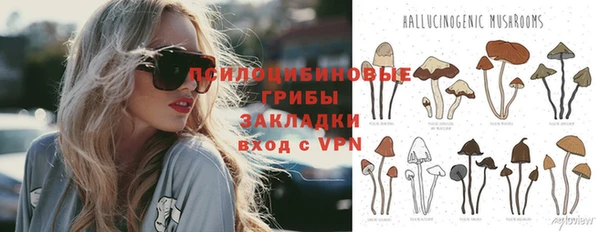 стафф Елабуга