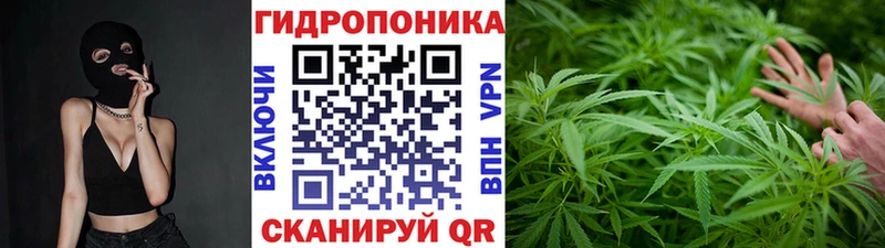 Бошки марихуана гибрид  где продают   дарк нет клад  Приволжский 